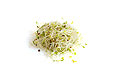 alfalfa sprouts
