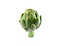 artichoke