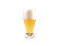 beer glass