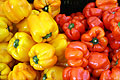 bell peppers