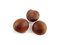 chestnut