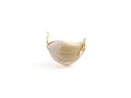 garlic clove