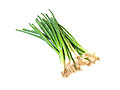 green onion