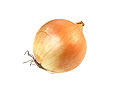 onion