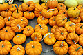 pumpkins