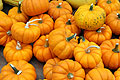 pumpkins