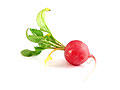 radish