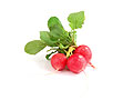 radishes