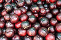 red plums