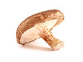 shiitake mushroom