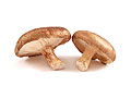 shiitake mushrooms