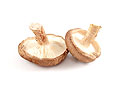 shiitake mushrooms