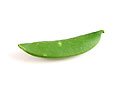 snow pea