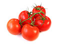 tomatoes