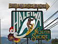 haleiwa north shore