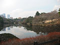 shinjuku gyoen