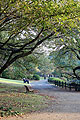 shinjuku gyoen