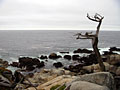 17-mile drive