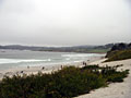 carmel beach