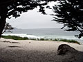 carmel beach
