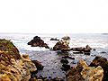 monterey coast