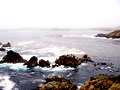 monterey coast