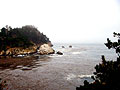 monterey coast