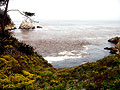 monterey coast
