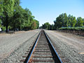 wine train tracks