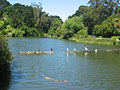 stow lake