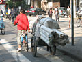 shanghai bicycle