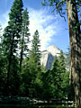 yosemite